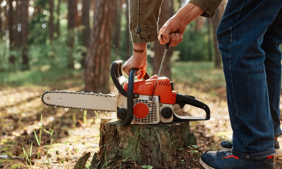 A chainsaw resting on a tree stump in a forest